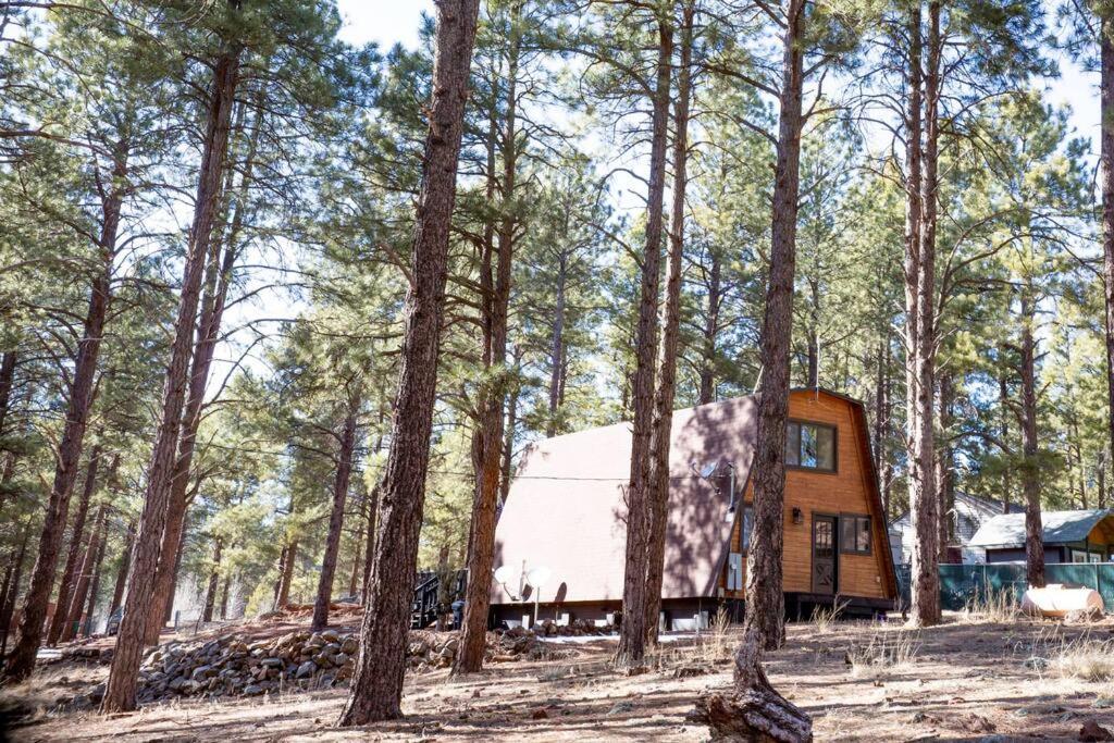 Grand Canyon Cabin! One Hour And 10 Minutes To The South Entrance! Williams Buitenkant foto