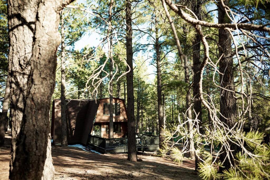 Grand Canyon Cabin! One Hour And 10 Minutes To The South Entrance! Williams Buitenkant foto
