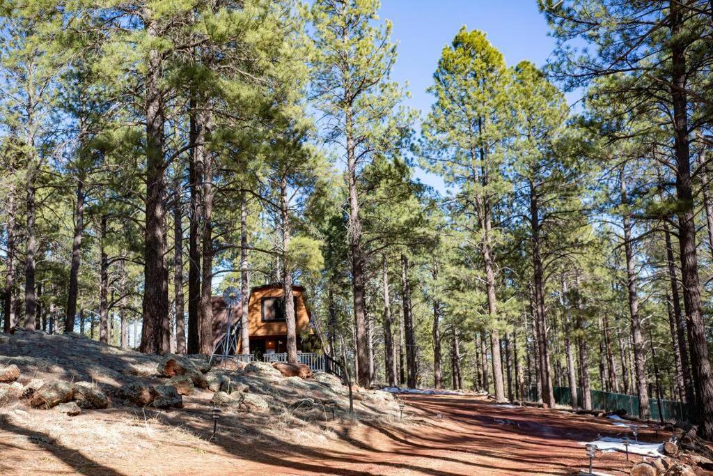Grand Canyon Cabin! One Hour And 10 Minutes To The South Entrance! Williams Buitenkant foto