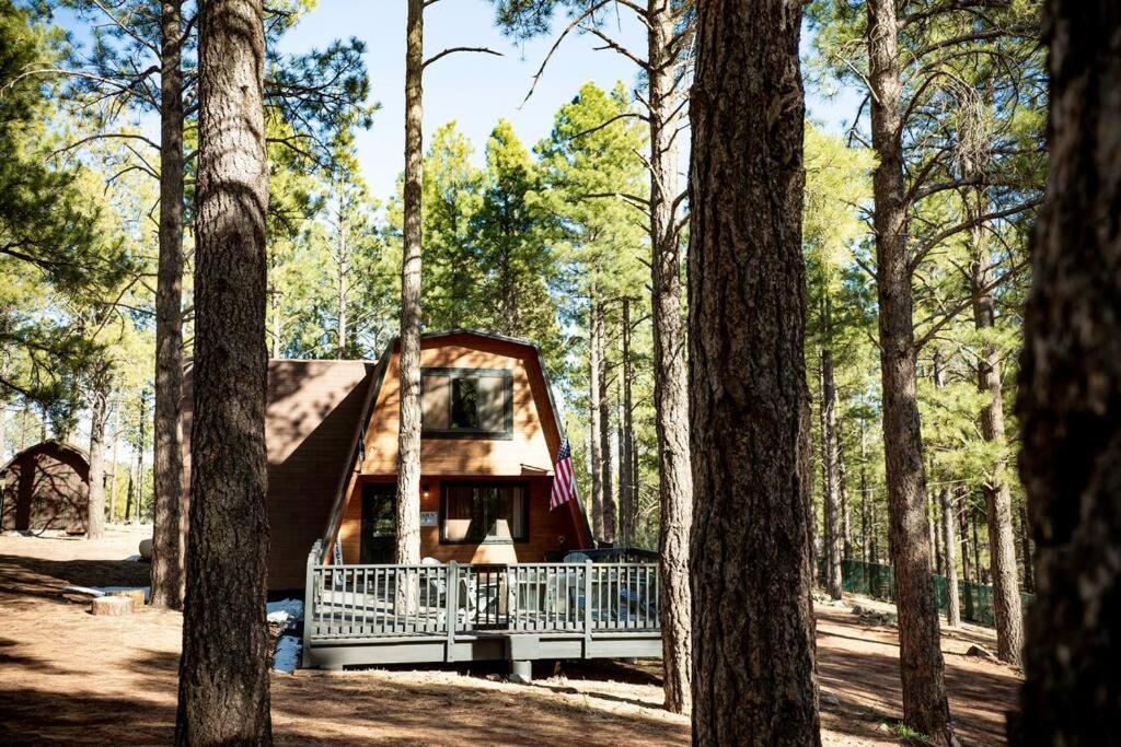 Grand Canyon Cabin! One Hour And 10 Minutes To The South Entrance! Williams Buitenkant foto