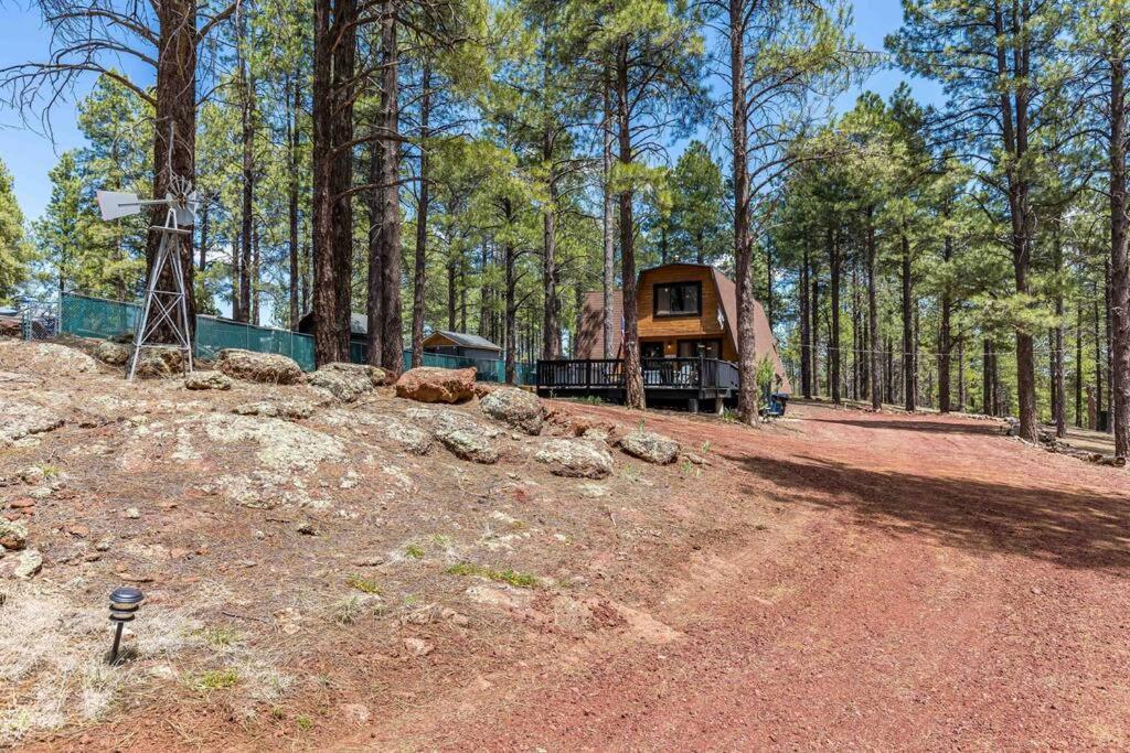 Grand Canyon Cabin! One Hour And 10 Minutes To The South Entrance! Williams Buitenkant foto