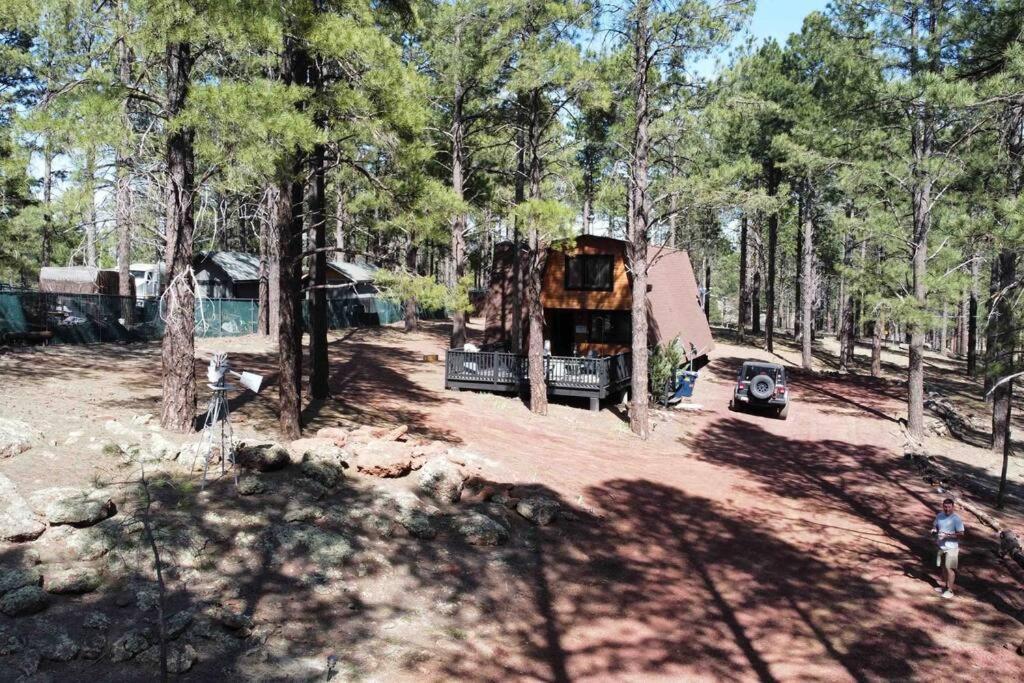 Grand Canyon Cabin! One Hour And 10 Minutes To The South Entrance! Williams Buitenkant foto