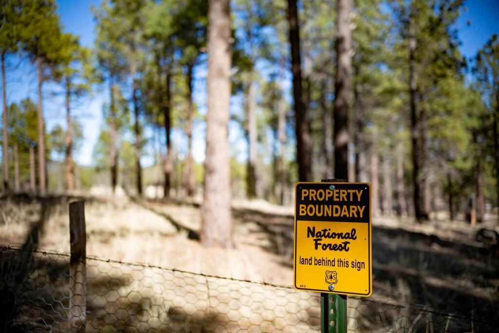 Grand Canyon Cabin! One Hour And 10 Minutes To The South Entrance! Williams Buitenkant foto